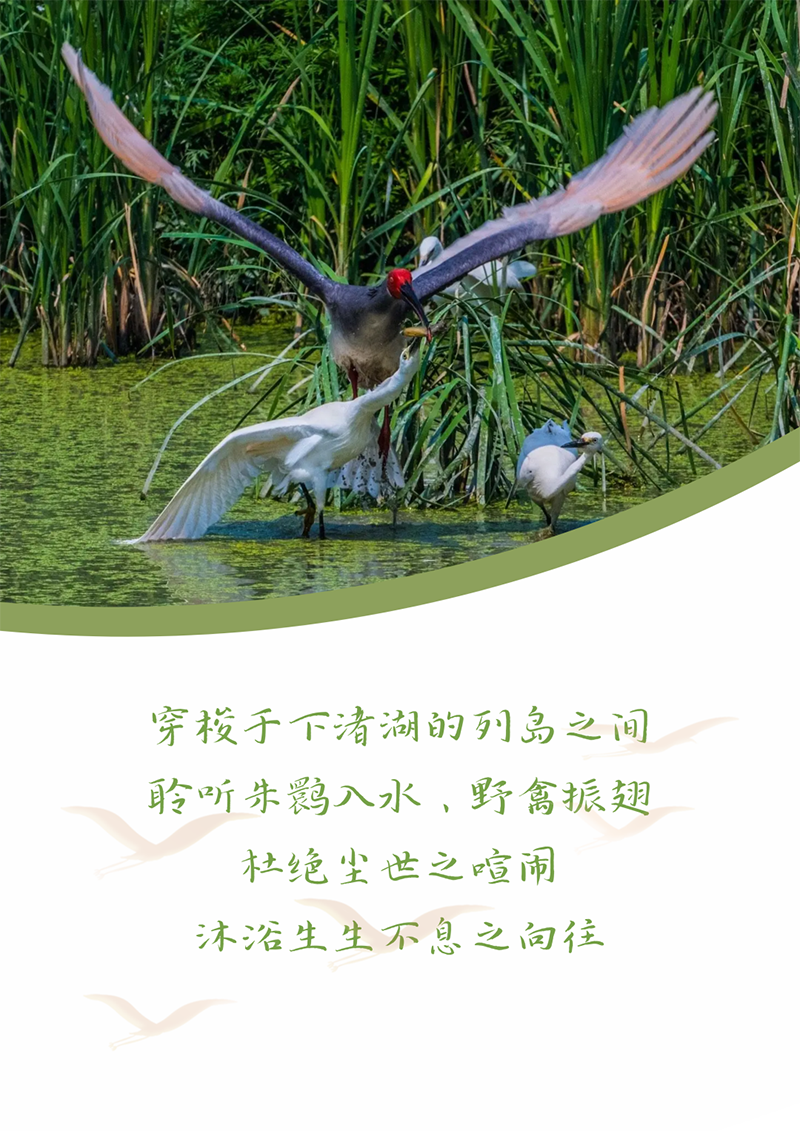 心心念廿 相伴GA黄金甲 | 与德清相约 贺廿载诞辰